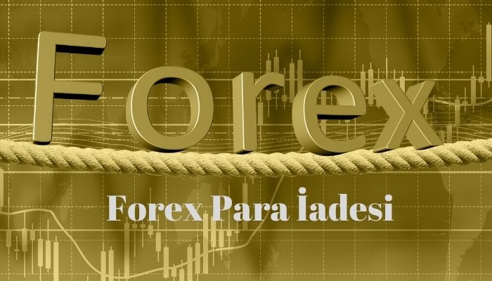 Forex Dolandırıcılığı (Forex Davaları)