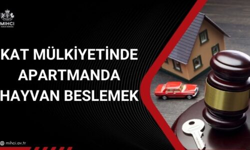 Kat Mülkiyetinde Apartmanda Hayvan Beslemek