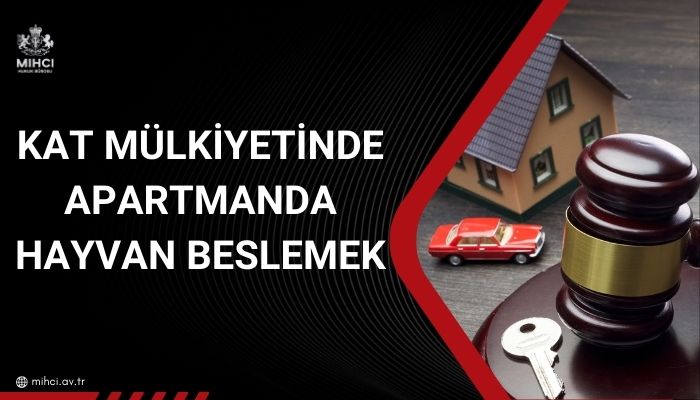 Kat Mülkiyetinde Apartmanda Hayvan Beslemek